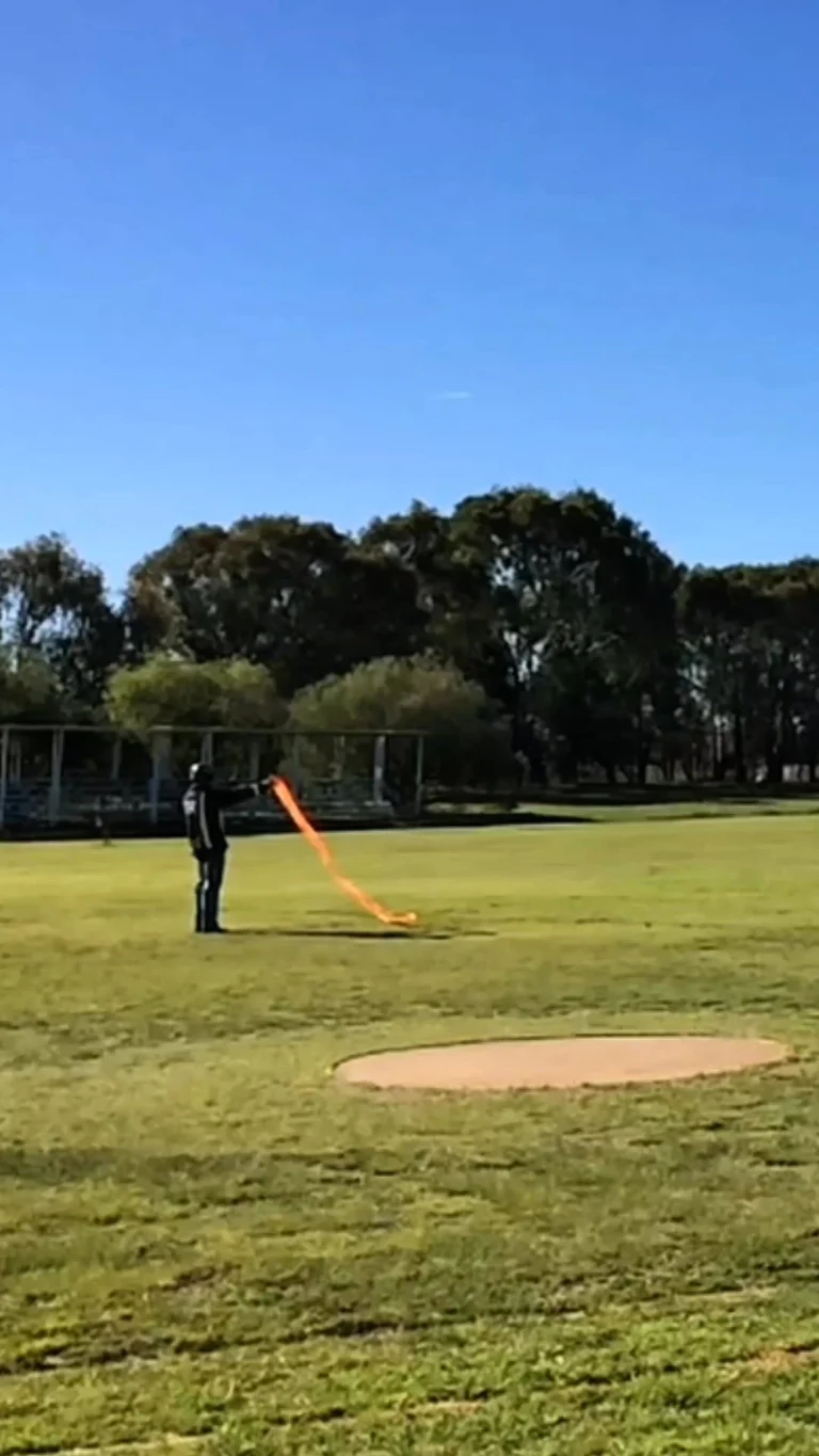 Instagram post from wihls.za. This post is in position 4.